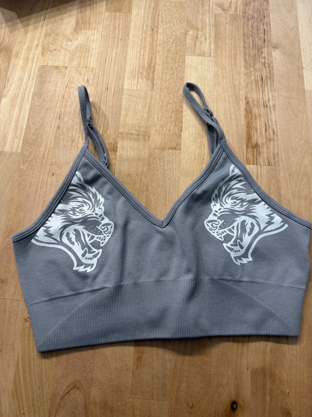 Darcsport sports bra